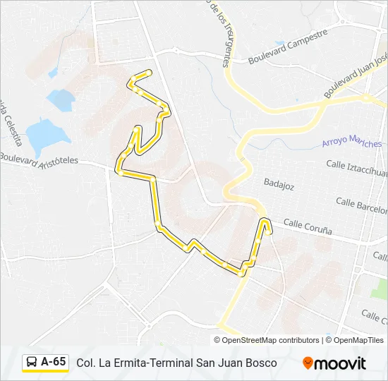 A-65 Bus Line Map