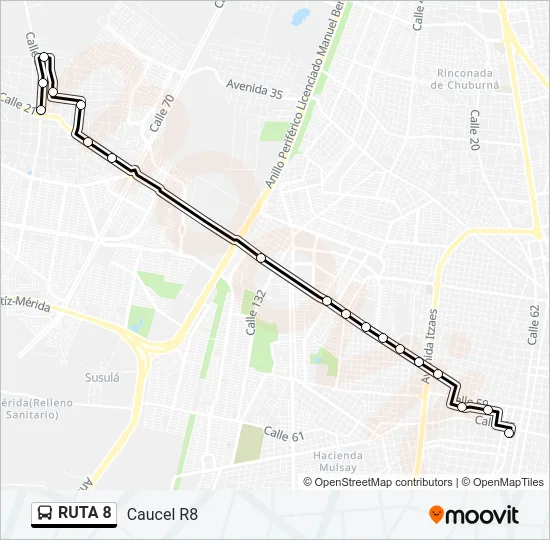 RUTA 8 Bus Line Map