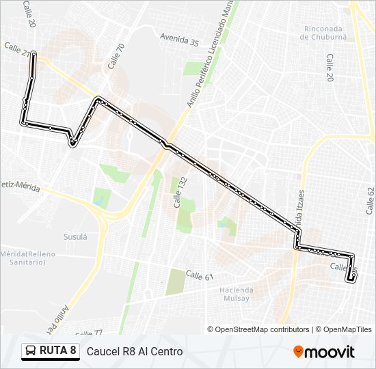 RUTA 8 Bus Line Map