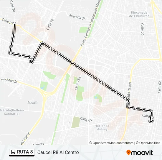 Mapa de RUTA 8 de autobús