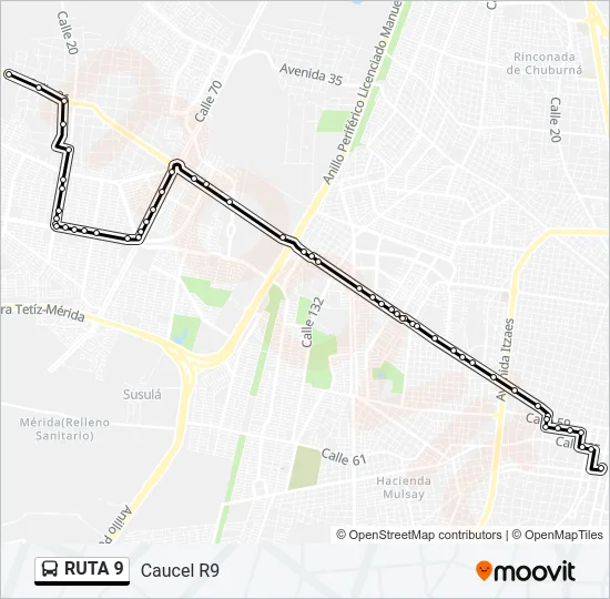 RUTA 9 Bus Line Map