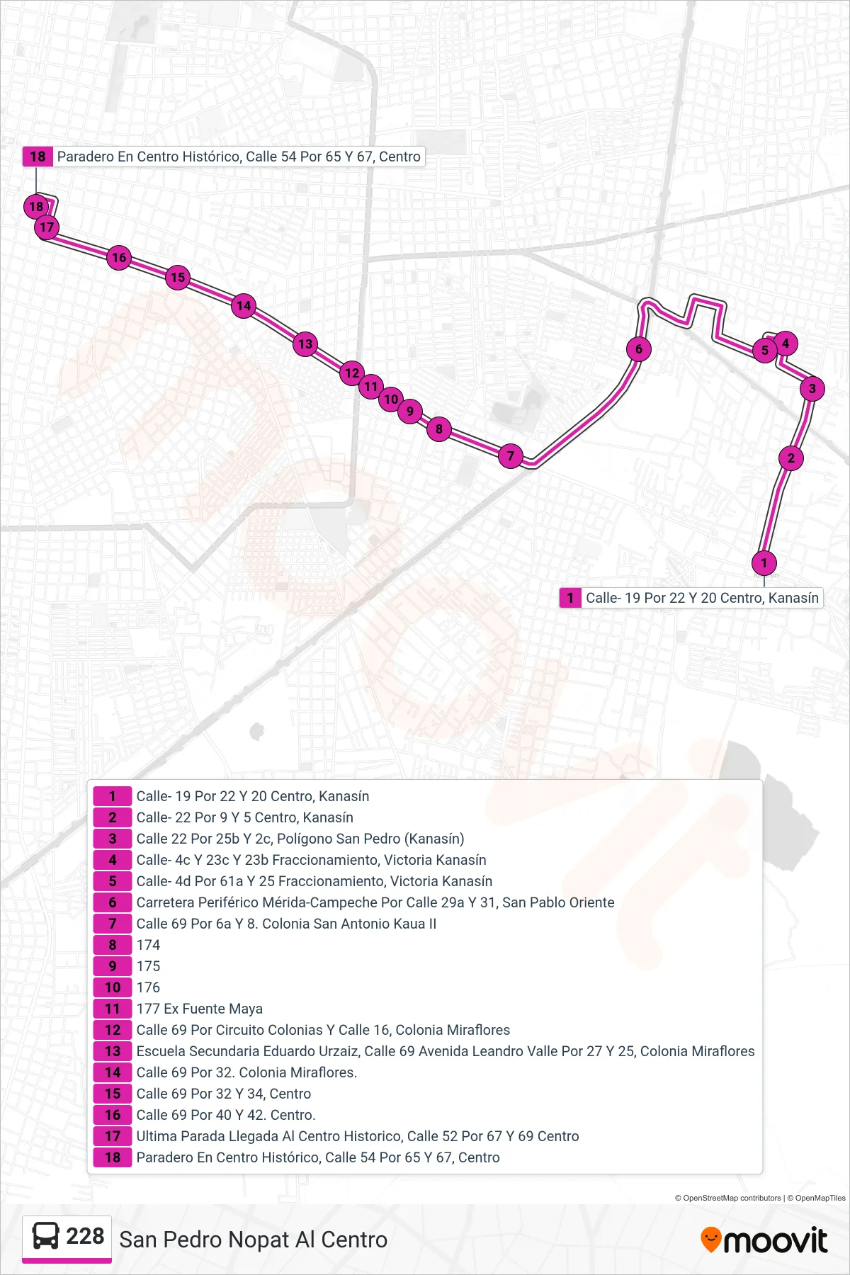 228 bus Line (San Pedro Nopat Al Centro) route and stops on a map