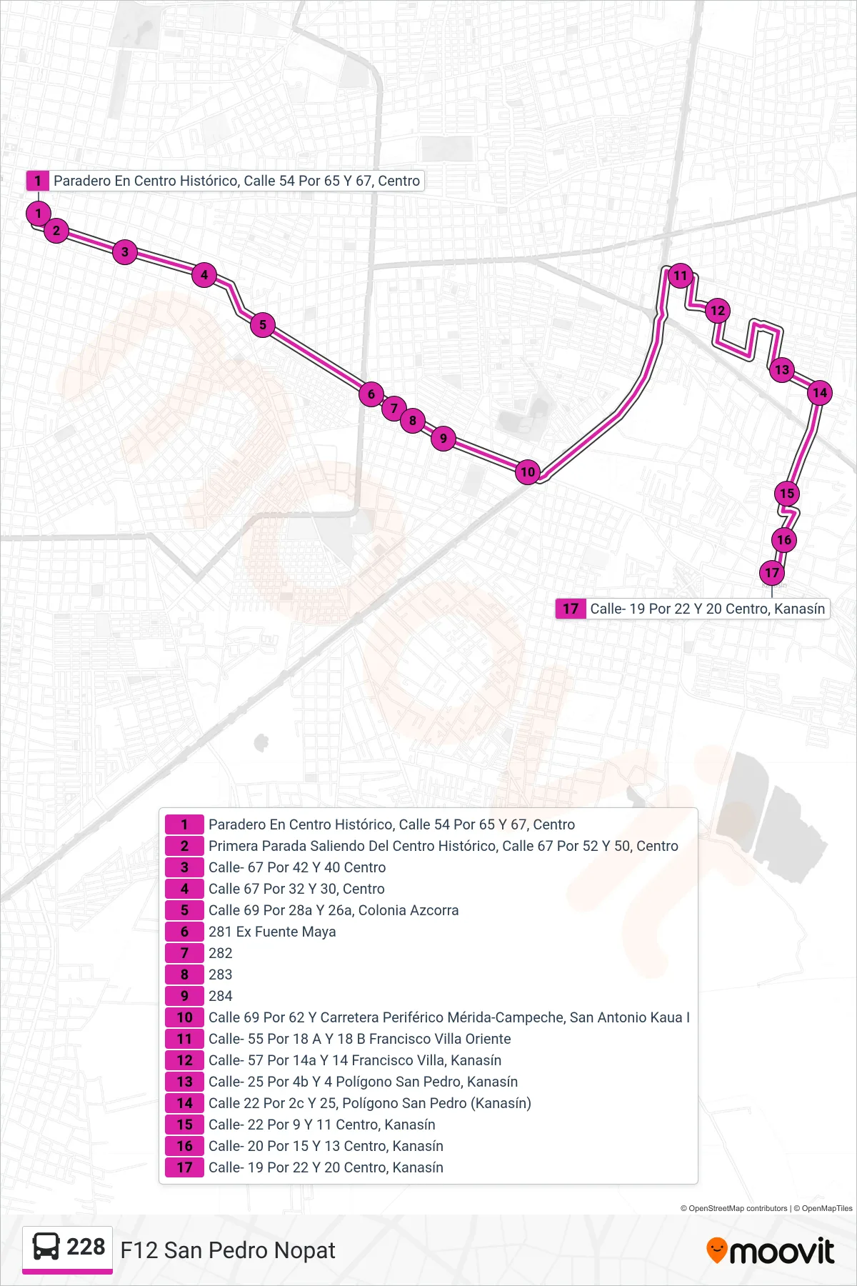 228 bus Line (F12 San Pedro Nopat) route and stops on a map