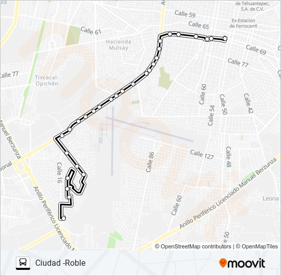 CIUDAD -ROBLE bus Line Map