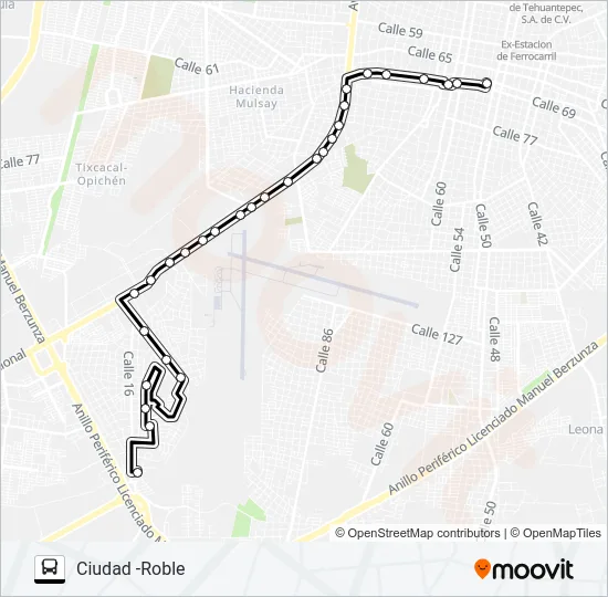 CIUDAD -ROBLE Bus Line Map