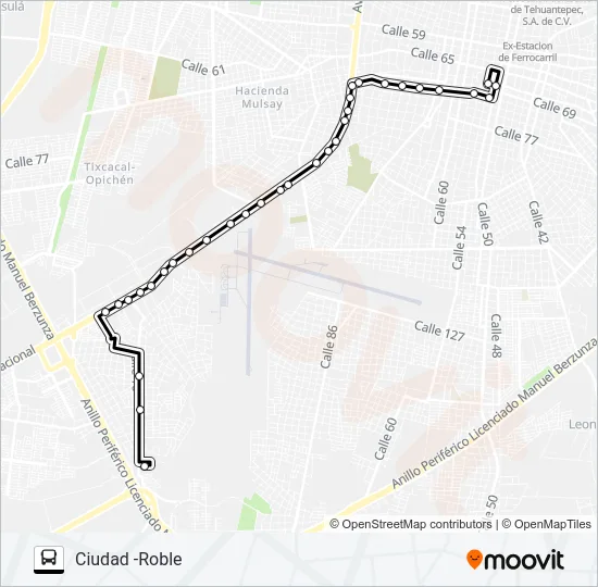 CIUDAD -ROBLE Bus Line Map