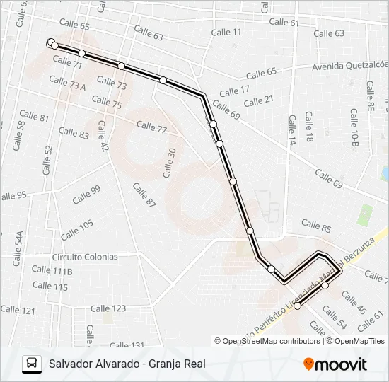 SALVADOR ALVARADO - GRANJA REAL Bus Line Map