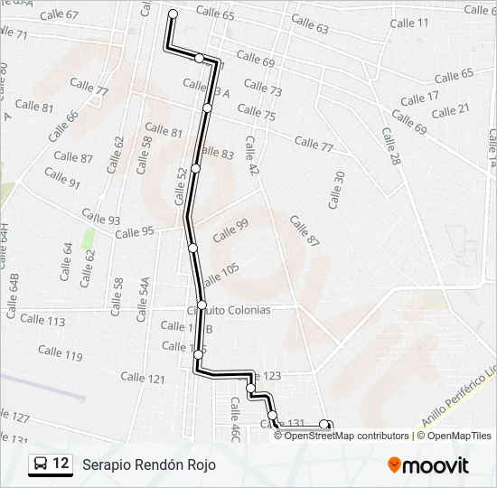 12 Bus Line Map