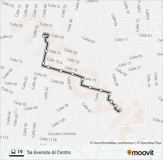 19 Bus Line Map