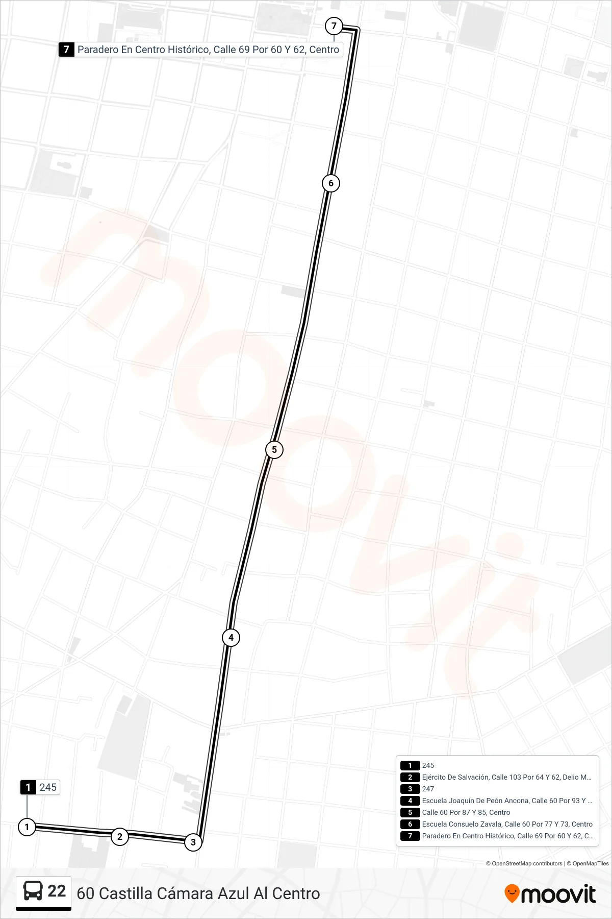 22 bus Line (60 Castilla Cámara Azul Al Centro) route and stops on a map