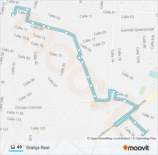 49 Bus Line Map