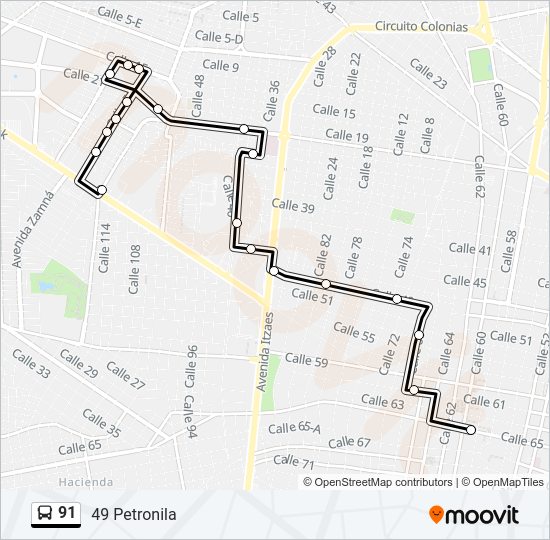91 Bus Line Map
