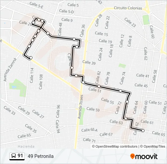 91 Bus Line Map