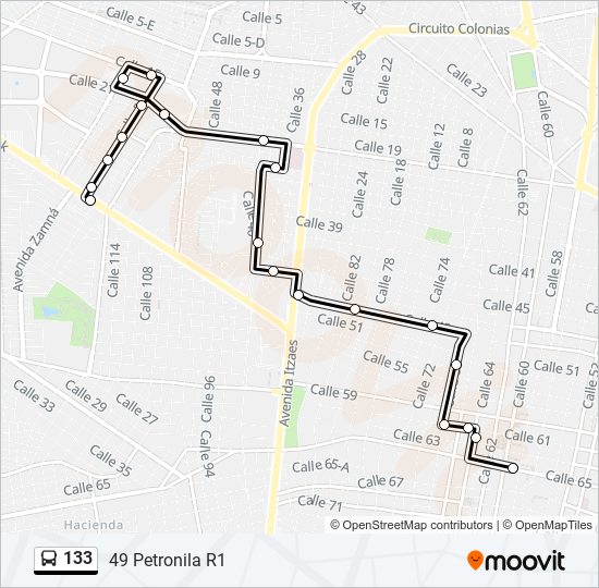 133 bus Line Map