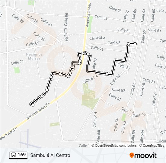 Mapa de 169 de autobús