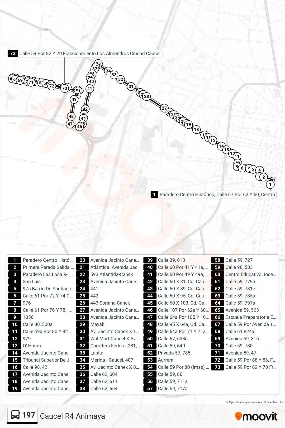197 bus Line (Caucel R4 Animaya) route and stops on a map