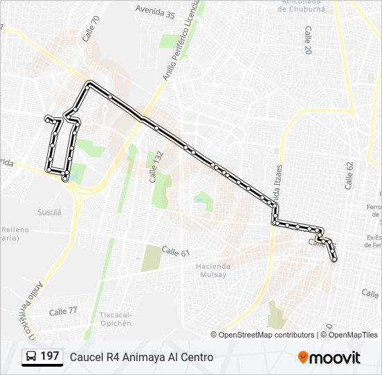 197 Bus Line Map