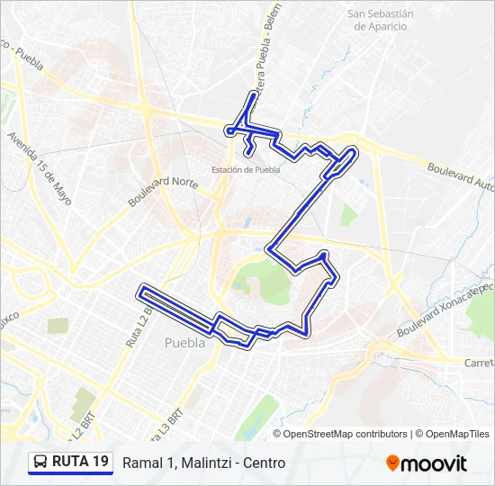 RUTA 19 Bus Line Map