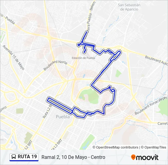 RUTA 19 Bus Line Map