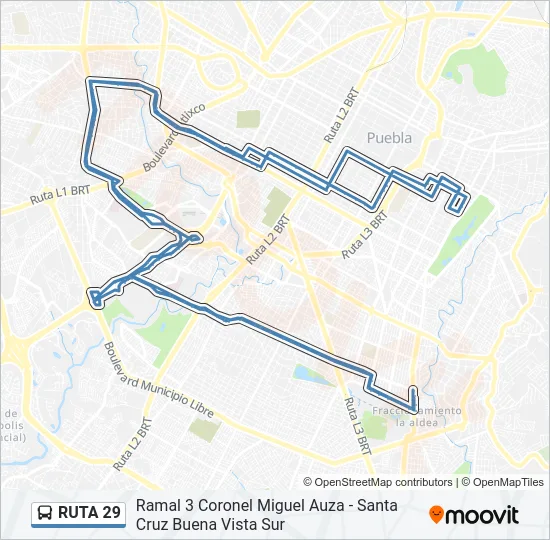 RUTA 29 Bus Line Map