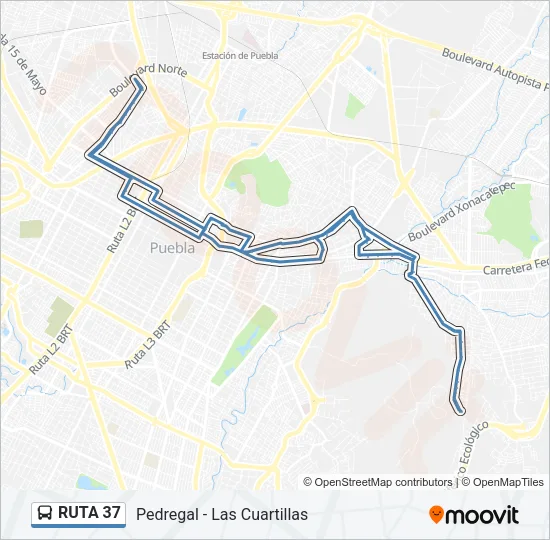 RUTA 37 Bus Line Map