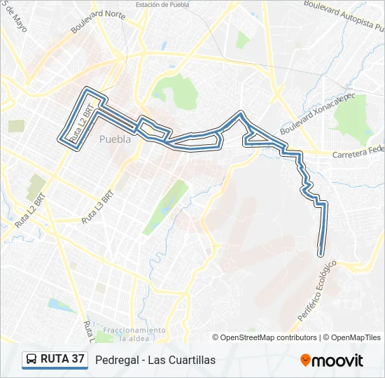 RUTA 37 Bus Line Map