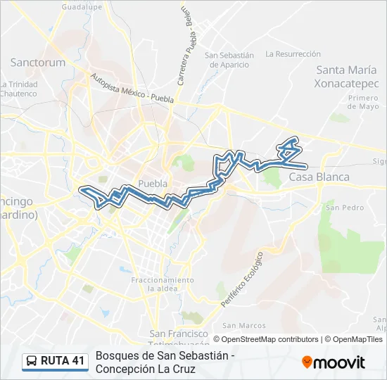 RUTA 41 Bus Line Map