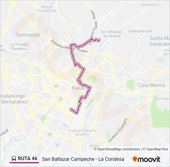 RUTA 46 Bus Line Map