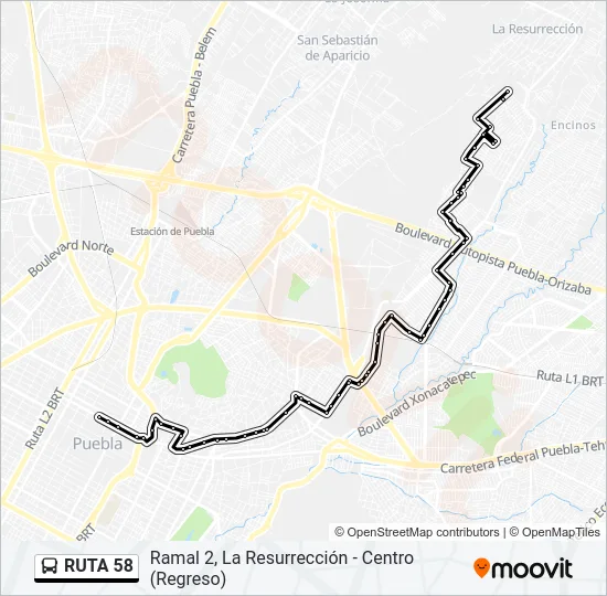 RUTA 58 Bus Line Map