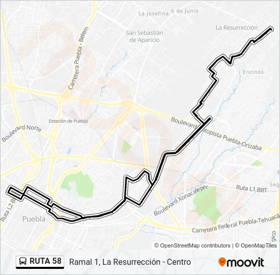 RUTA 58 Bus Line Map