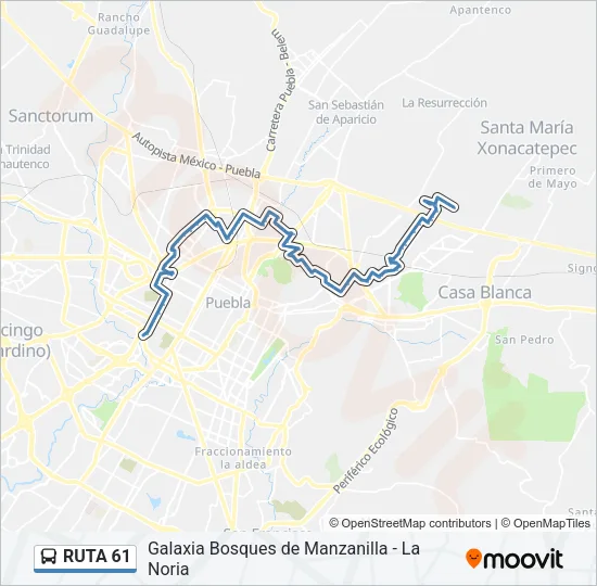 RUTA 61 Bus Line Map