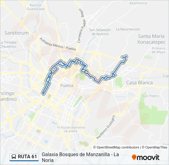 RUTA 61 Bus Line Map
