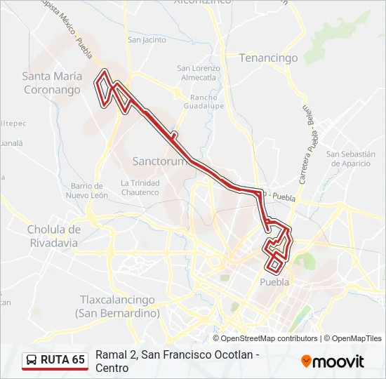 RUTA 65 Bus Line Map