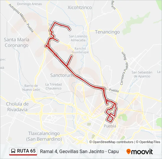 RUTA 65 Bus Line Map