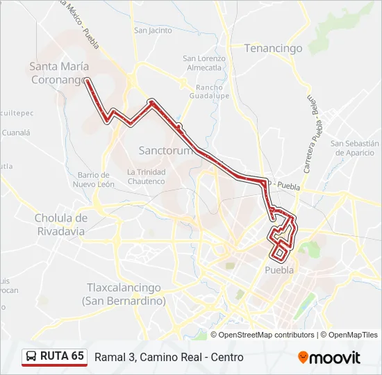 RUTA 65 Bus Line Map