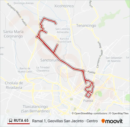 RUTA 65 Bus Line Map