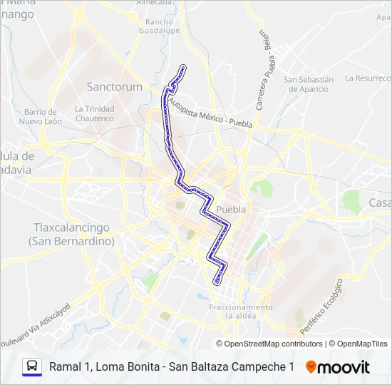 RUTA 11A Bus Line Map