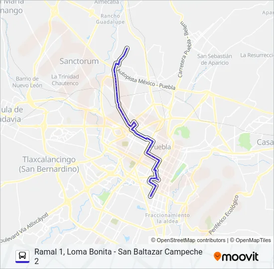 RUTA 11A Bus Line Map