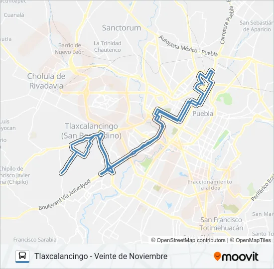 RUTA TLAXCALANCINGO Bus Line Map