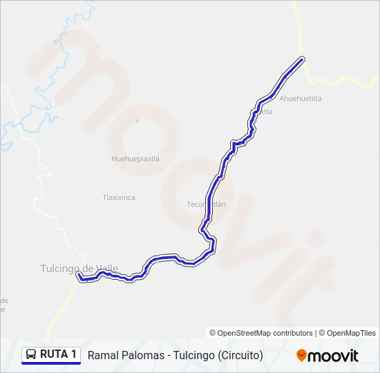 RUTA 1 Bus Line Map