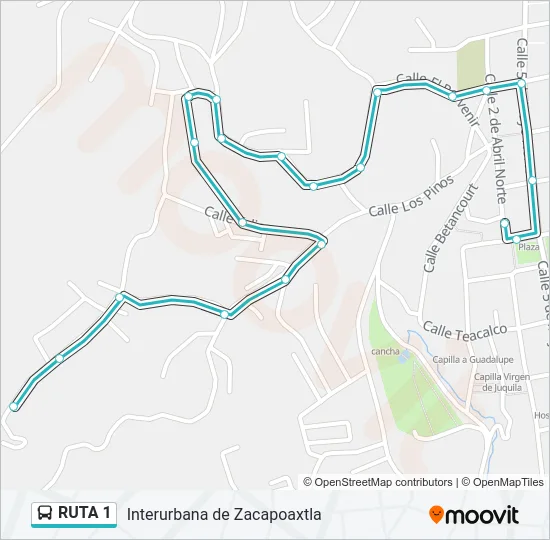 RUTA 1 Bus Line Map