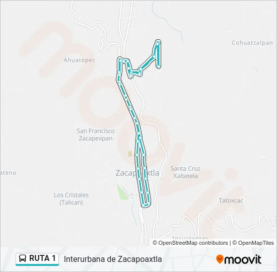 RUTA 1 Bus Line Map