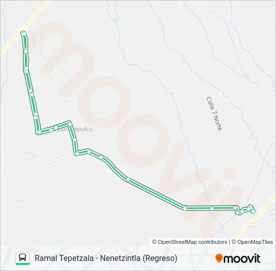 RUTA TEPETZALA Bus Line Map