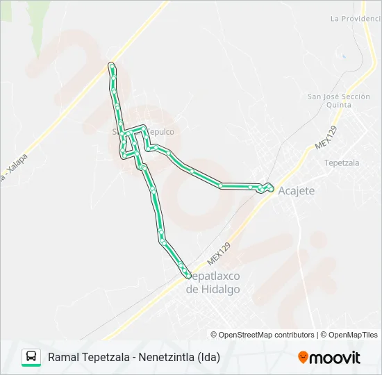 RUTA TEPETZALA Bus Line Map