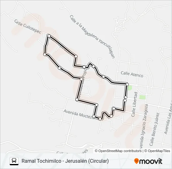 RUTA TOCHIMILCO Bus Line Map