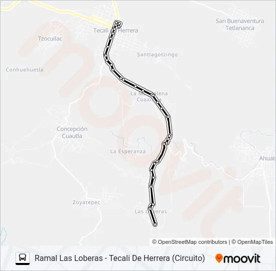 RUTA LAS LOBERAS Bus Line Map
