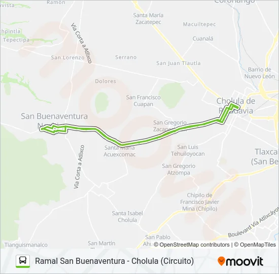 RUTA SAN BUENAVENTURA Bus Line Map
