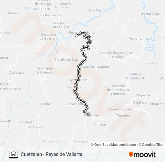 RUTA REYES DE VALLARTA Bus Line Map
