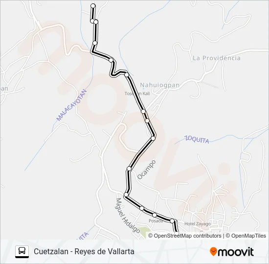 RUTA REYES DE VALLARTA Bus Line Map