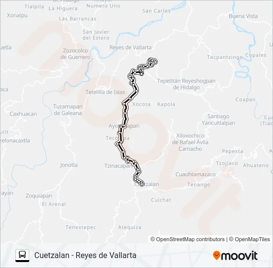RUTA REYES DE VALLARTA Bus Line Map